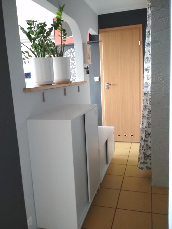 Apartament Jagiellonska Apartment *