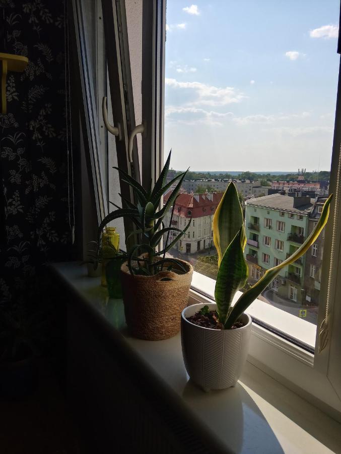 Apartament Jagiellonska Allenstein